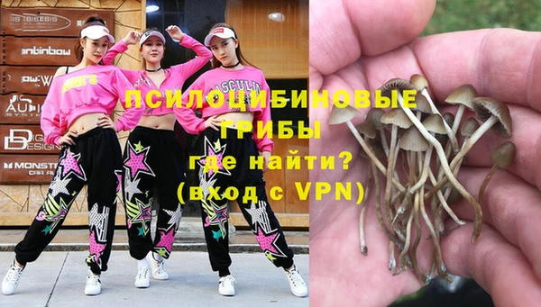 каннабис Коряжма