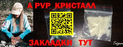 кокс Донской