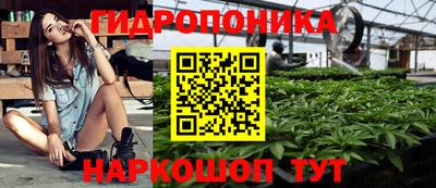 кокс Донской