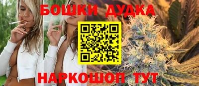 крисы Дубна