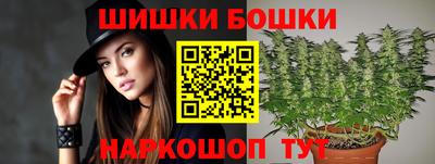 крисы Дубна