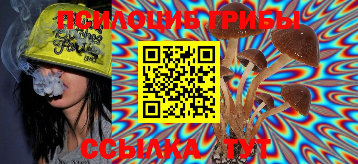 Псилоцибиновые грибы Psilocybe  Мариинск  Псилоцибиновые грибы Magic Shrooms 